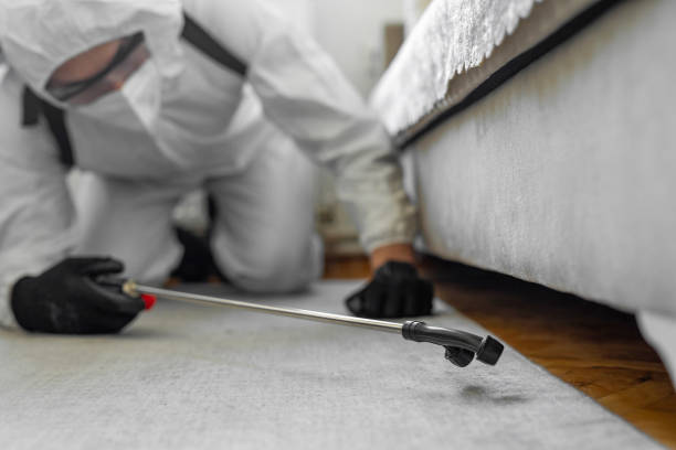 Professional Emergency Pest Control technician working in South Charleston, OH
