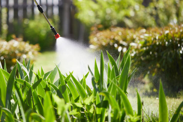 24/7 Emergency Emergency Pest Control experts in South Charleston, OH
