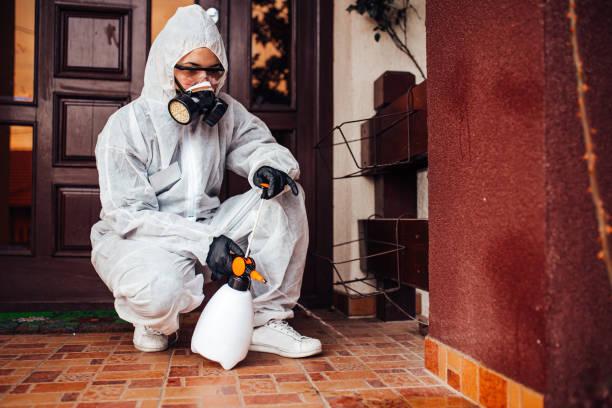 Reliable Emergency Pest Control contractor in South Charleston, OH by Nex Pest Control