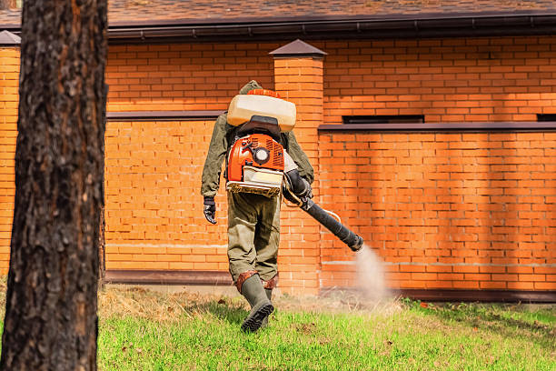 Trusted Emergency Pest Control service in South Charleston, OH - Nex Pest Control